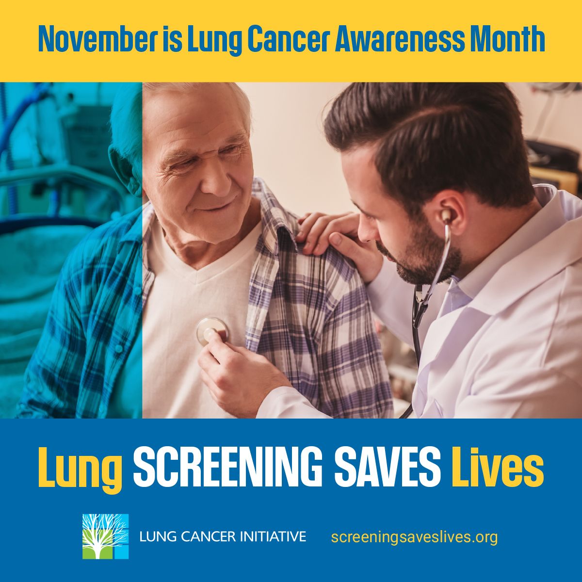 Ad 1200x1200 Nov 2 Lssl Lci 110725