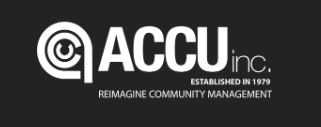 Consulting and Accounting Services