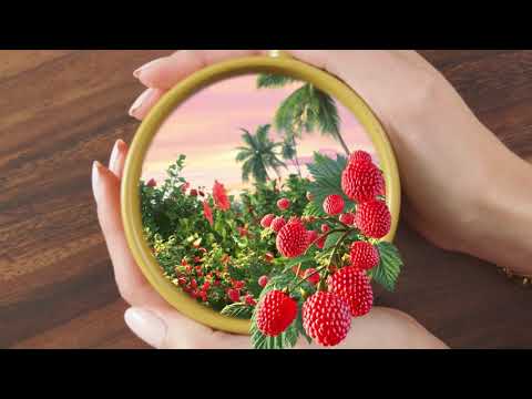 Video ad for Celestial Seasonings new &quot;Taste Our World&quot; creative campaign.