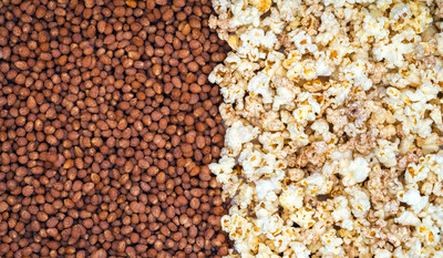 Opopop Flavor Wrapped™ Popcorn Kernels, the first innovation in microwave popcorn since the 1970s